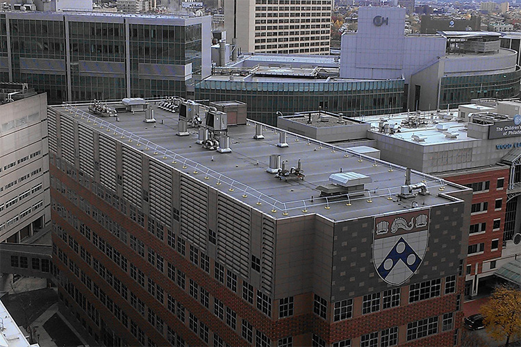 BlueWater Non-Penetrating Roof Guardrails Improve Rooftop Safety Without Damaging Roofing Systems