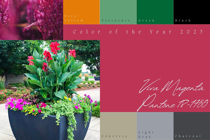 Complementary Planter Colors for Color of the Year 2023 Viva Magenta