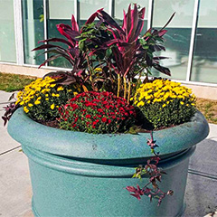 Create fall planters that stand out