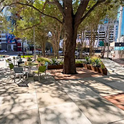 Designing Gathering Spaces Around Historic Live Oaks, Herman Massey Park Tampa, Florida