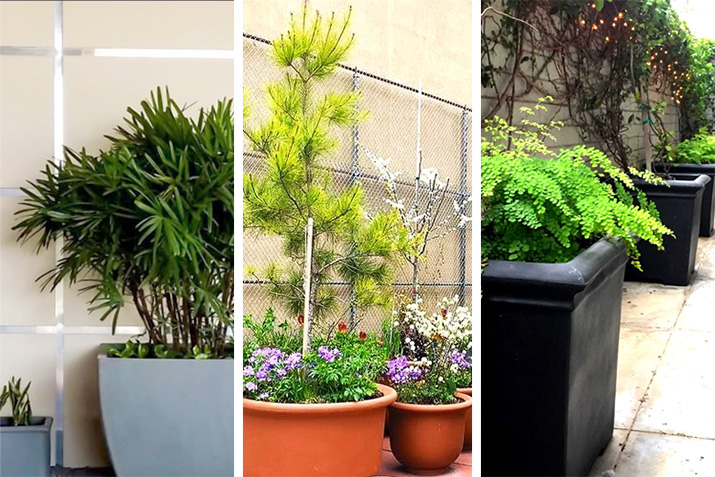 Downspout Planters: Sustainable and Aesthetic Solution to Rainwater Management