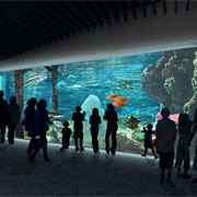 PENETRON ADMIX Helps Launch New Tacoma Aquarium