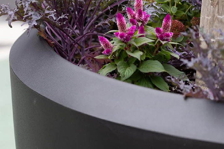 Planters 101: What Actually Makes a Good Planter?