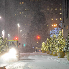 Strategic Seasonal Planning with TerraCast&reg;: Durable Resin Planters for Long-Term Performance