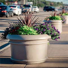 TerraCast®: Sustainable Planters for Climate-Resilient Landscapes