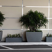 Uniquely Modern Planter Styles from TerraCast Products