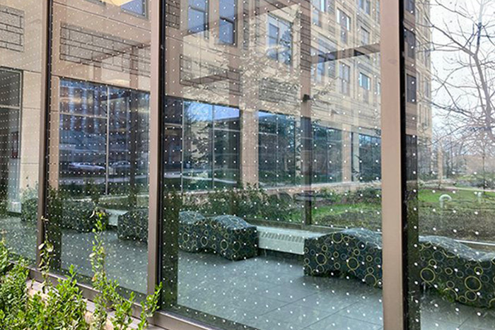 Why Bird-Friendly Glass Can Help Your Building Be More Sustainable