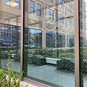 Why Bird-Friendly Glass Can Help Your Building Be More Sustainable