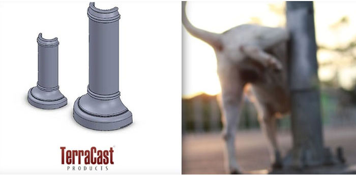 Why Do Lampposts and Streetlights Fall Over? The Unexpected Culprit: Dogs